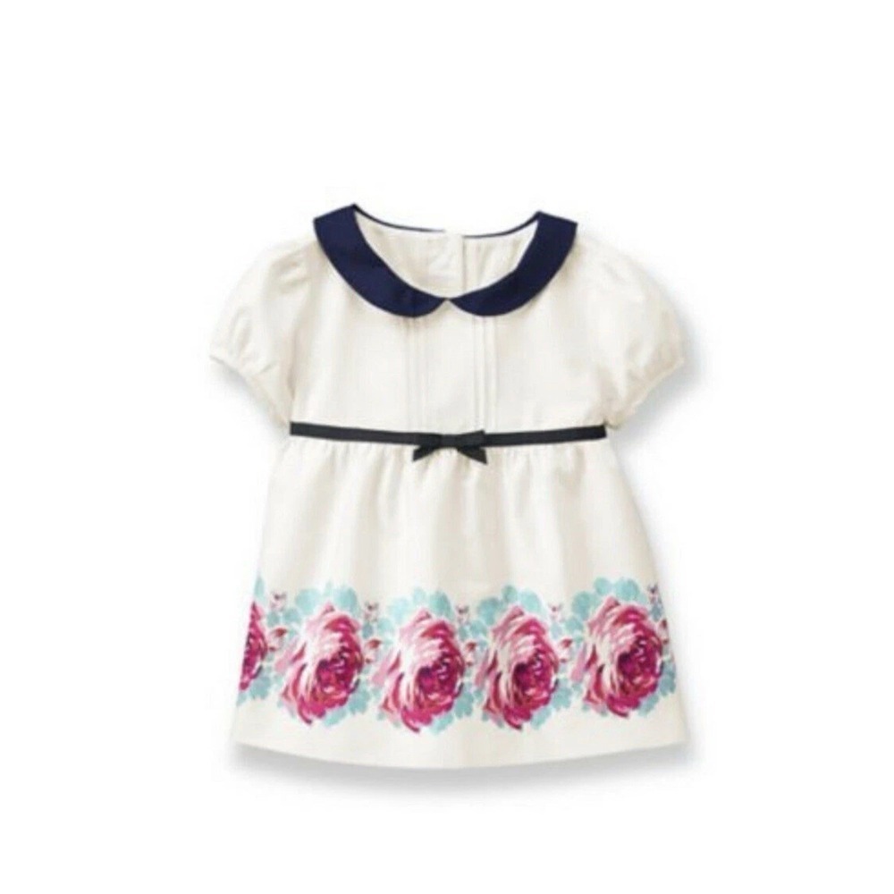 Janie and Jack White Blue Pink Rose Flower Print Peter Pan Collar Dress Size 4T
